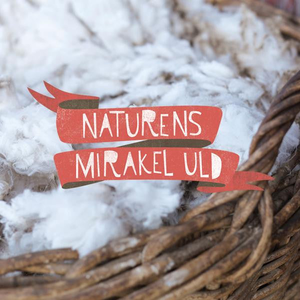 join the woolvolution, switch to Merino!