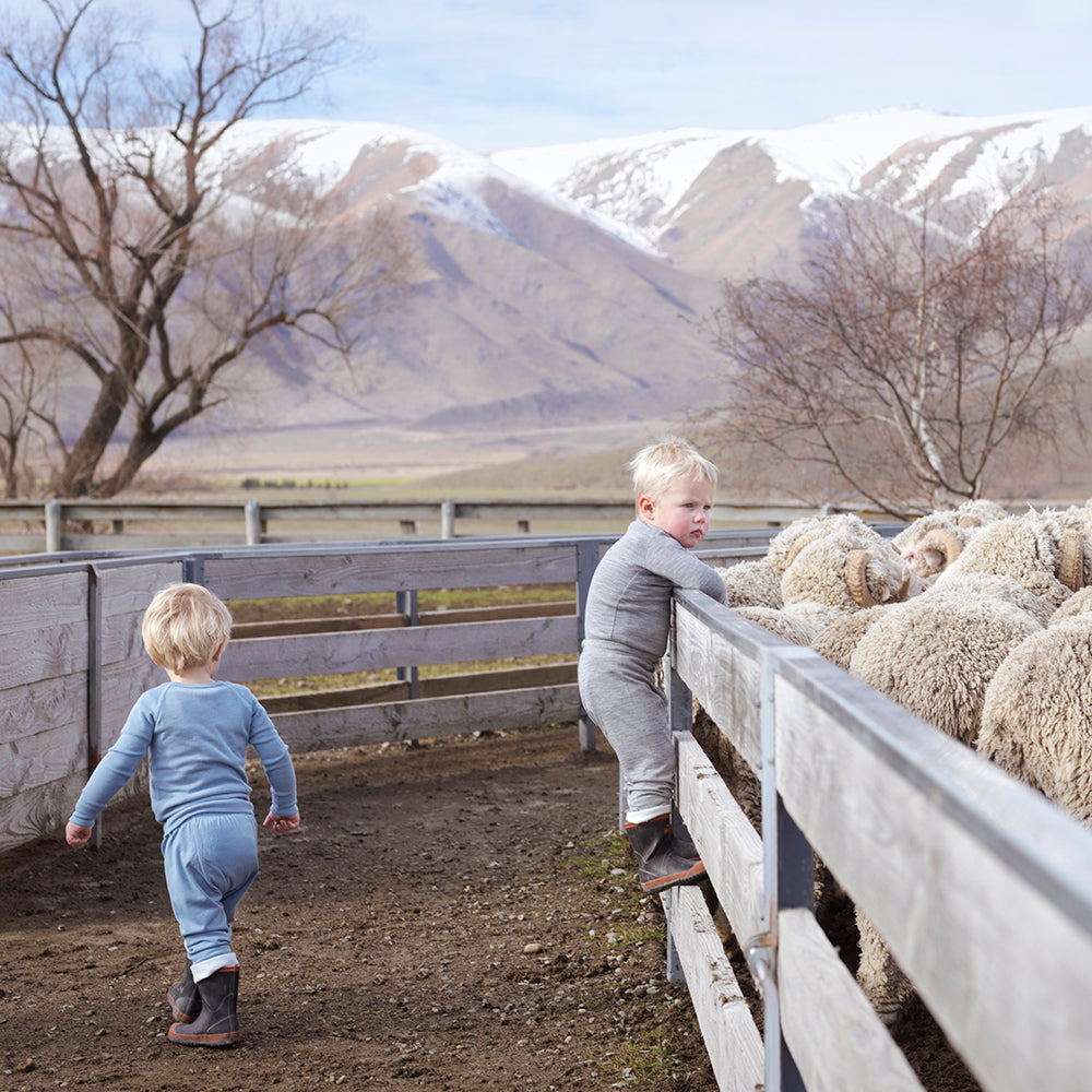 Why merino wool is getting more expensive